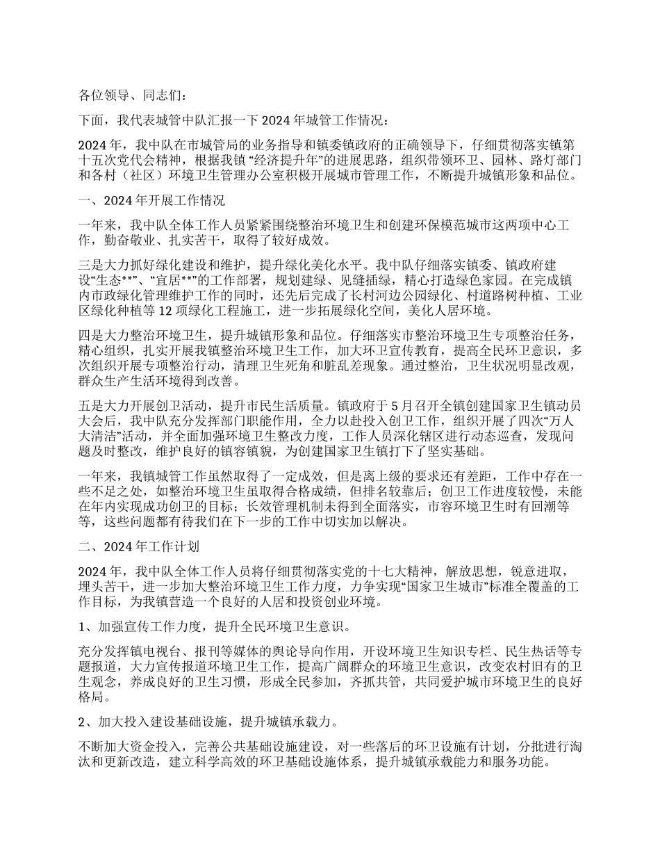 城管中队2024年工作情况汇报_第1页