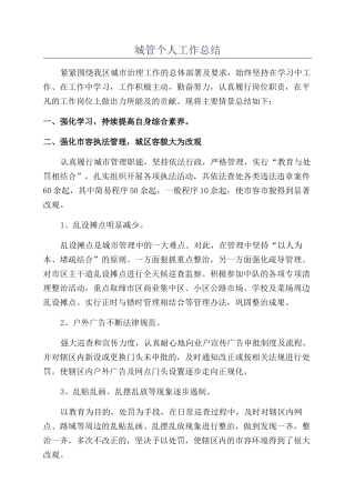 城管个人工作总结