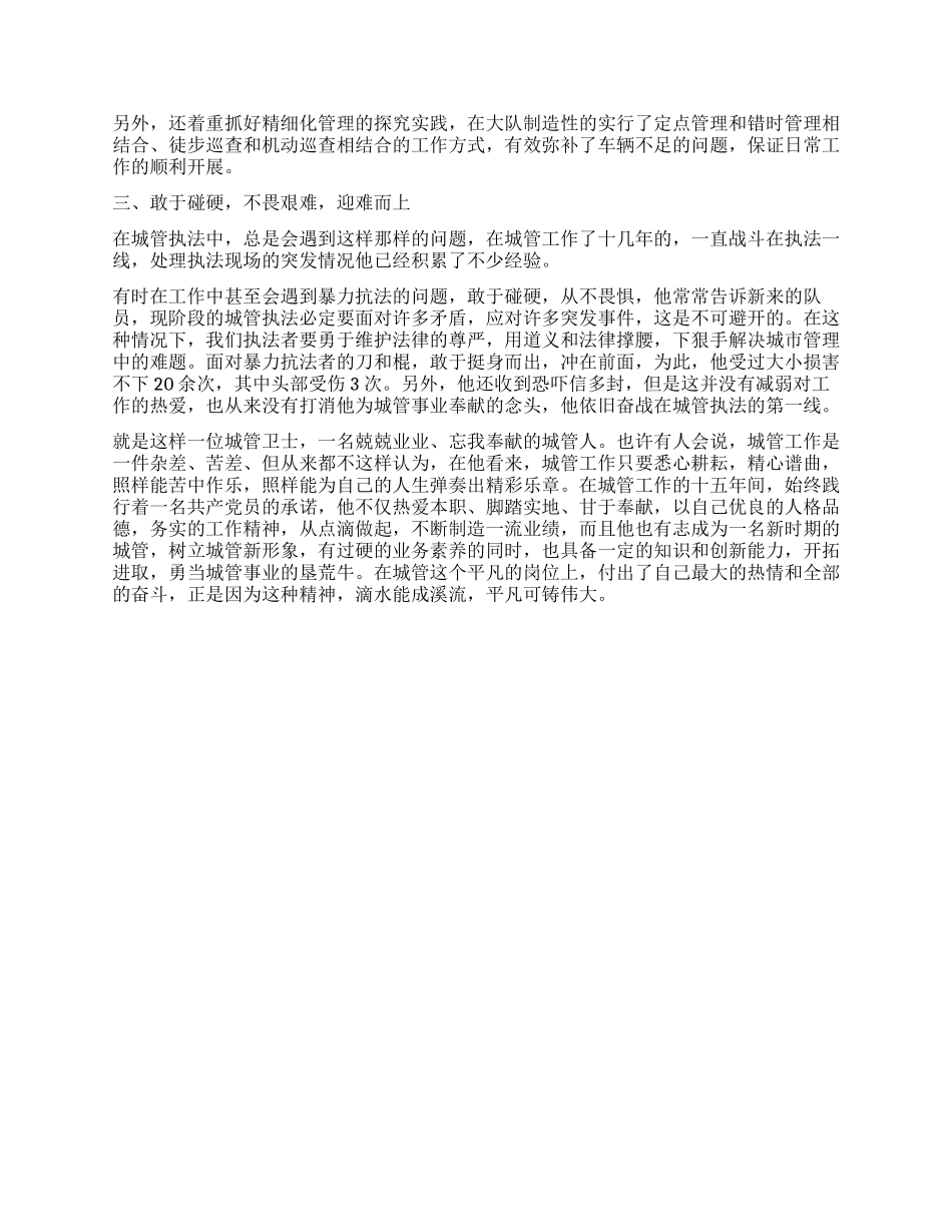 城管副大队长先进事迹材料_第2页