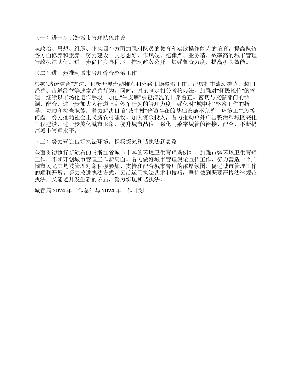 城管局2024年工作总结与2024年工作计划_第2页