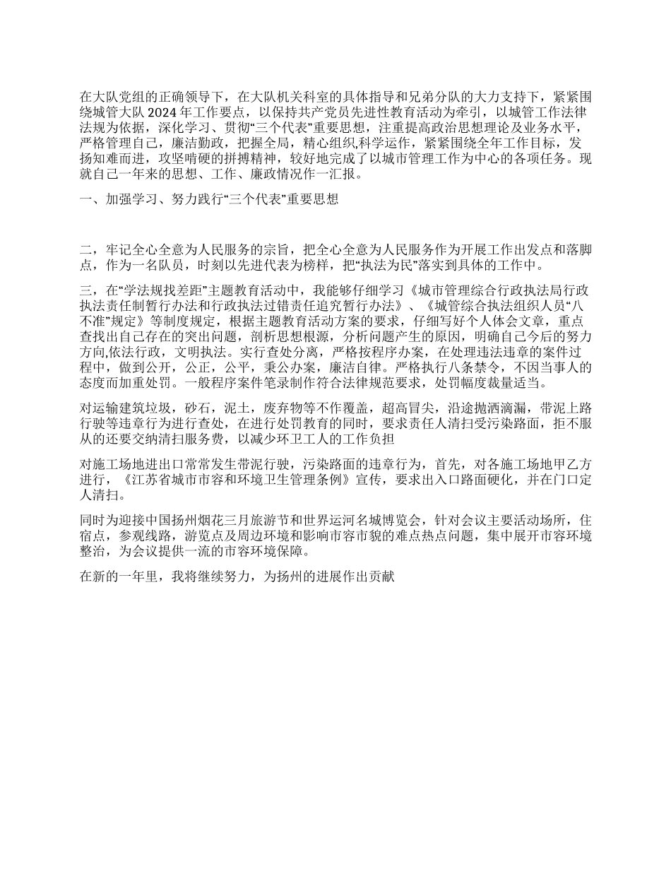 城管大队工作总结_第1页