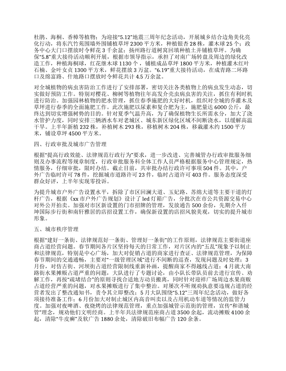 城管局上半年工作总结及下半年工作计划_第2页