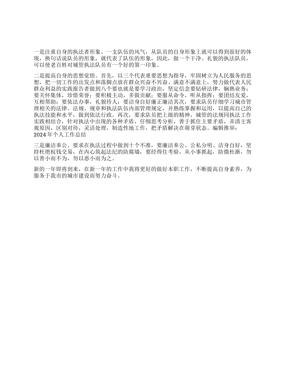 城管局个人工作总结范文_第1页