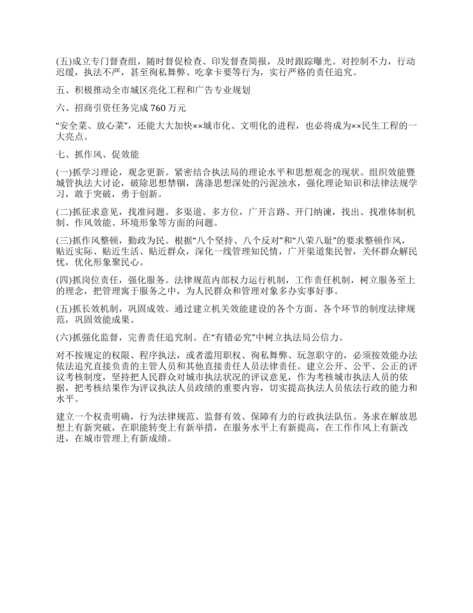城管执法局2024年工作总结和2024年工作思路_第2页