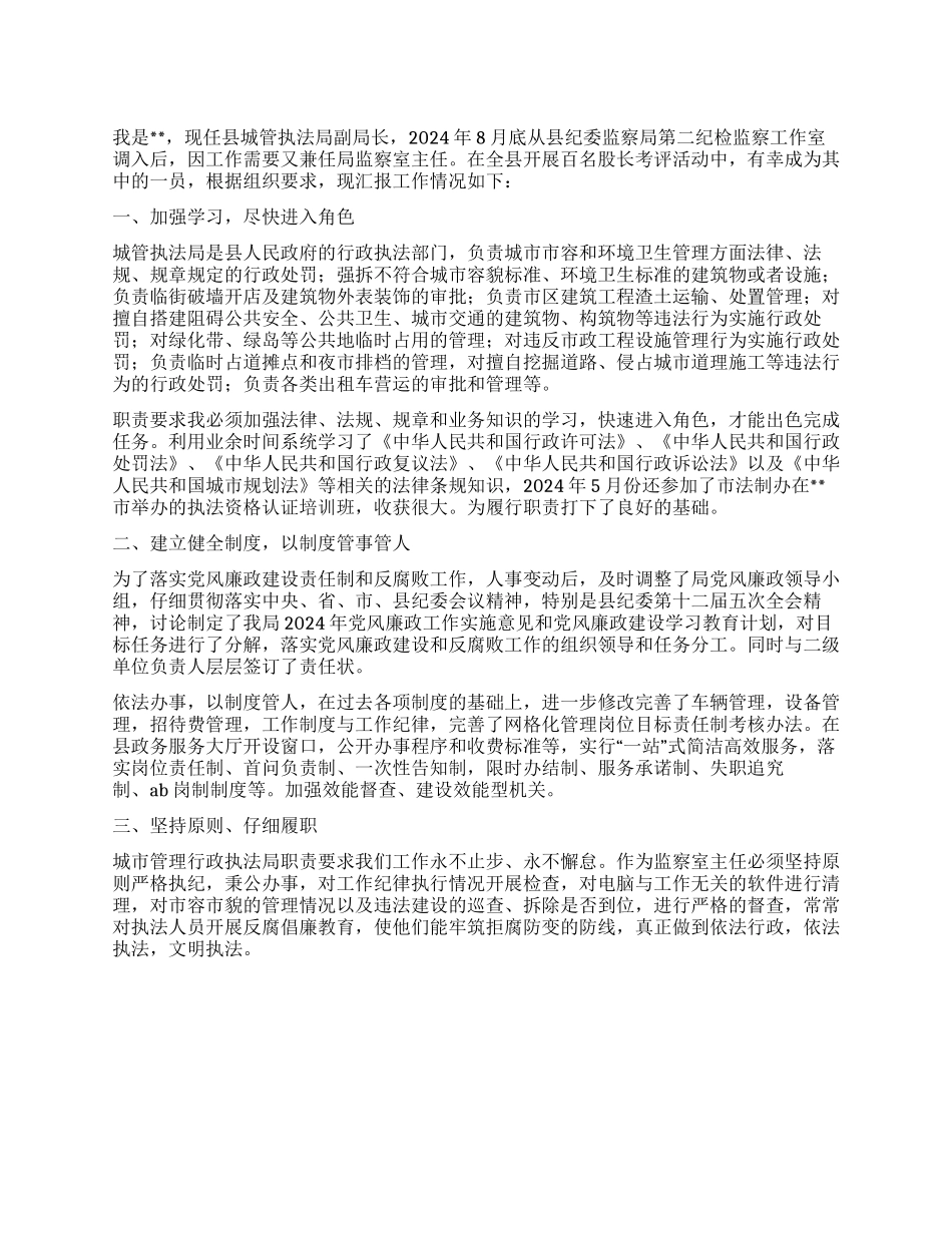 城管执法局个人工作总结范文_第1页