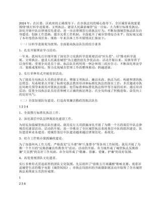 城管执法局工作总结报告