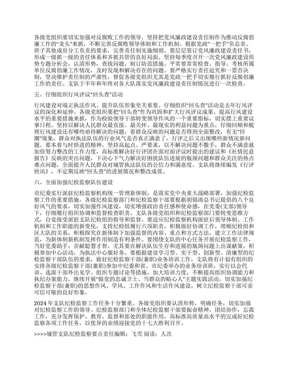 城管支队纪检监察要点_第3页