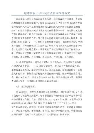 培本实验小学行风自查自纠报告范文