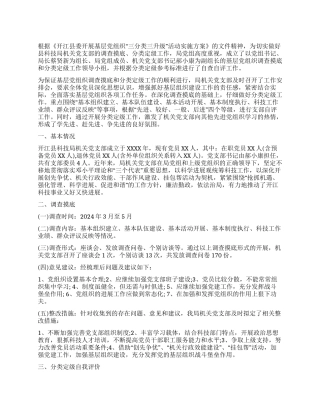 基层党组织三分类三升级自查报告