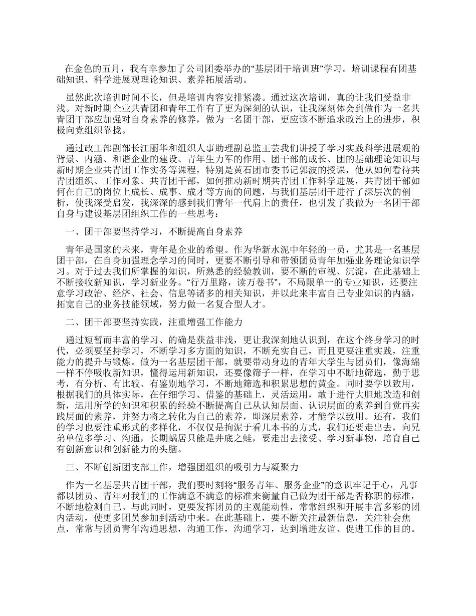 基层团干部培训小结_第1页