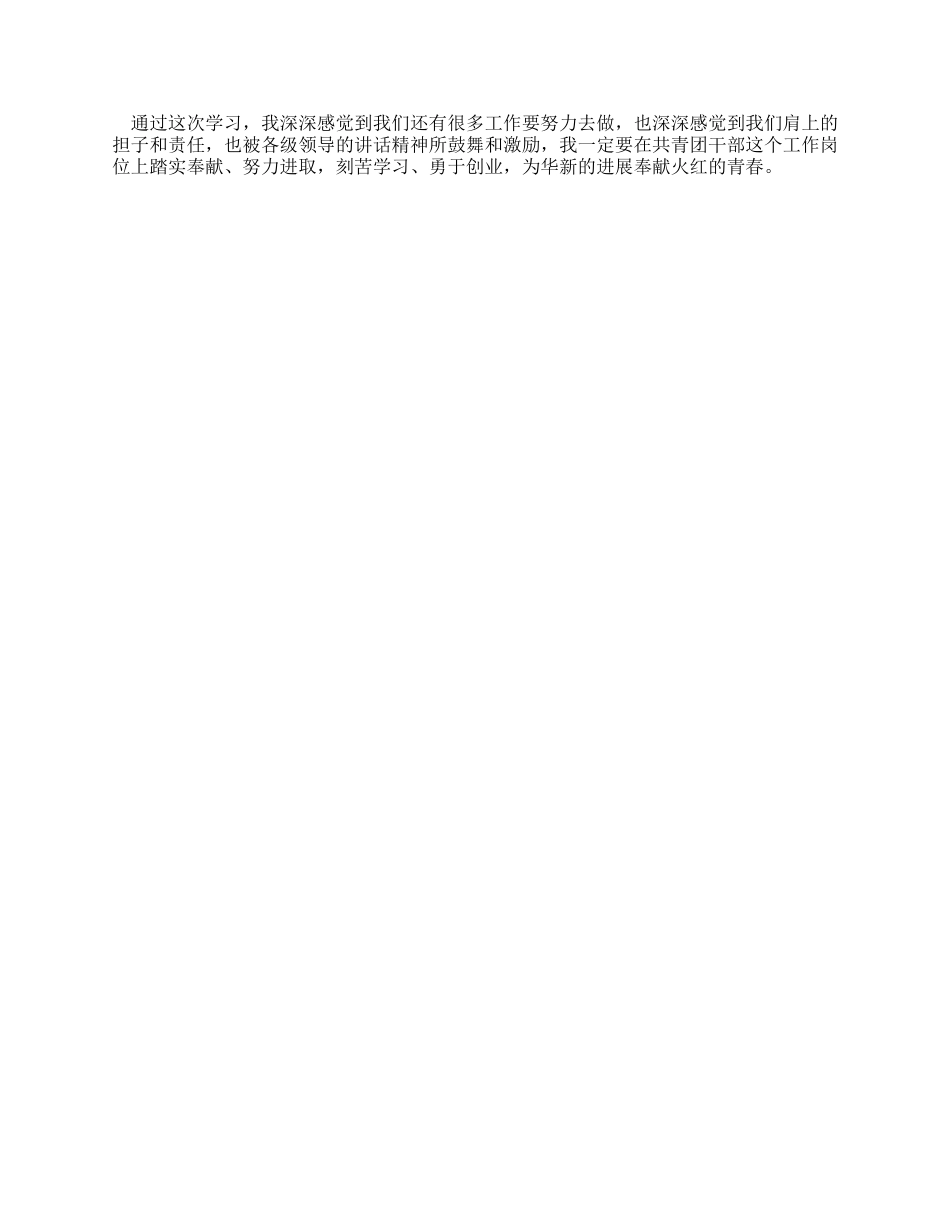 基层团干部培训小结_第2页