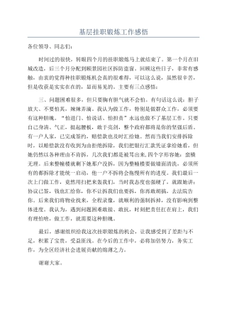 基层挂职锻炼工作感悟