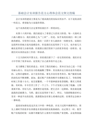 基础会计实训报告范文心得体会范文例文投稿