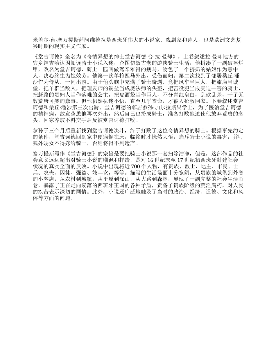 堂吉诃德读后感_第1页