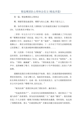 塑造鹰团队心得体会范文