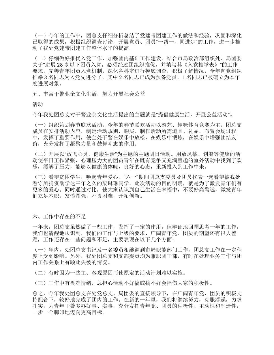 处年度共青团工作总结_第2页
