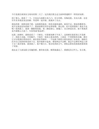 夏令营记趣作文