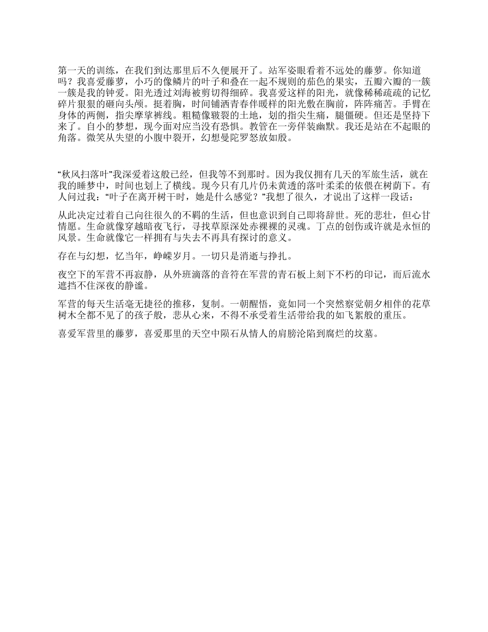 大一新生军训总结_第1页