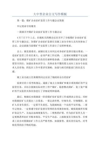 大中型企业公文写作模板