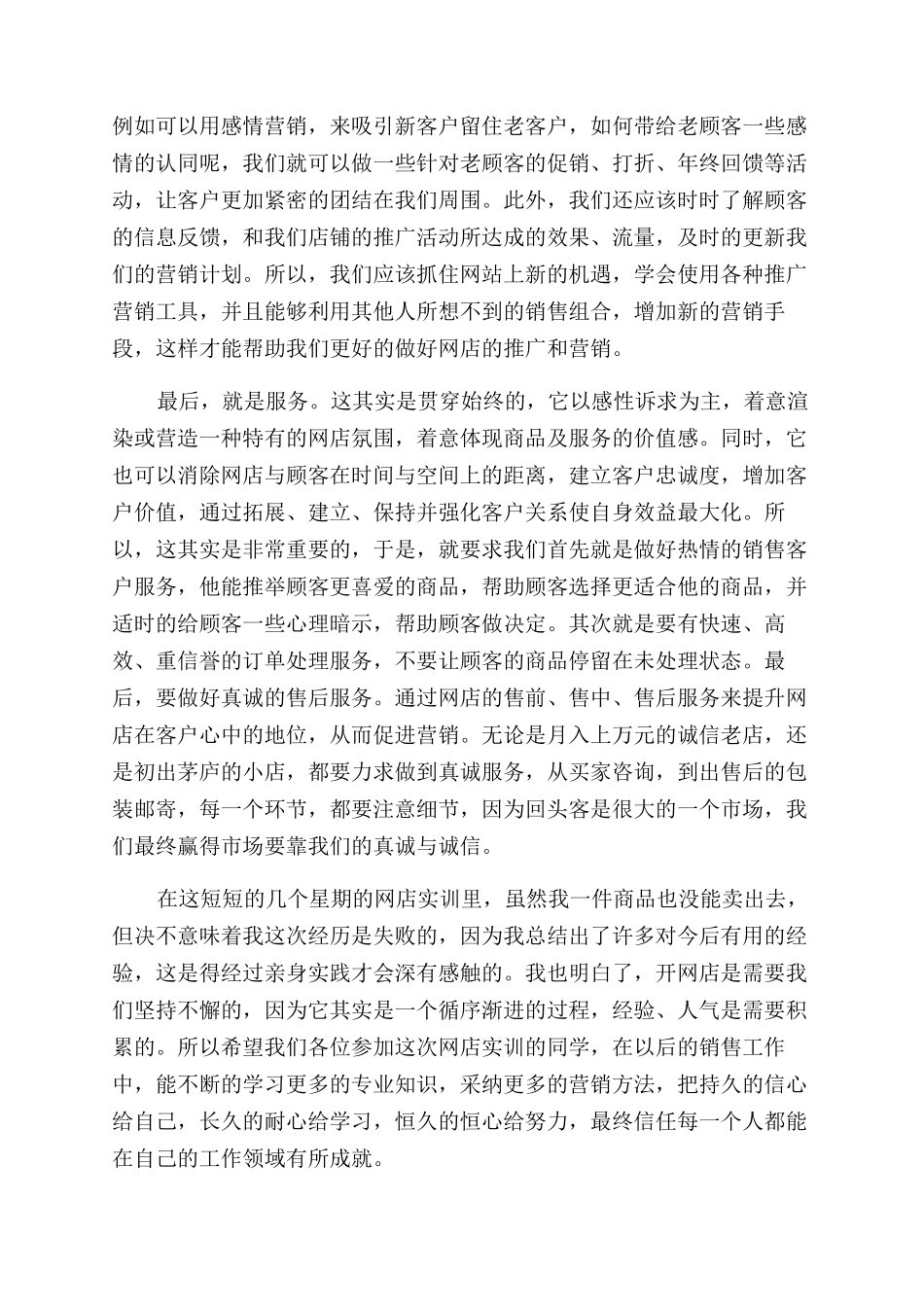 大二网络营销实训报告范文_第3页