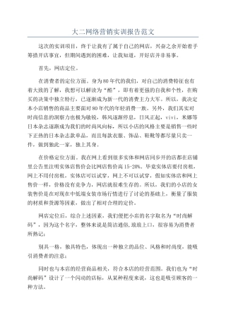 大二网络营销实训报告范文
