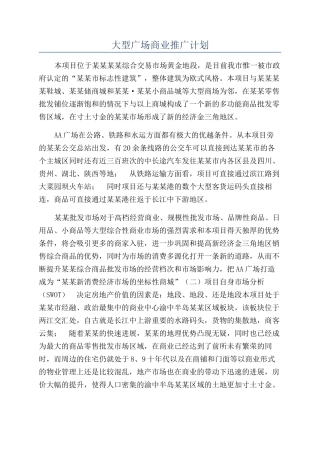 大型广场商业推广计划