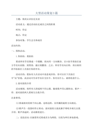 大型活动策划3篇