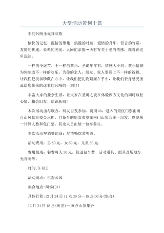 大型活动策划十篇