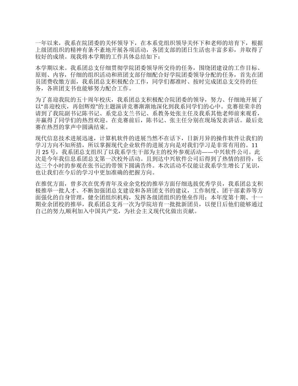大学信息系团总支XX年工作总结_第1页