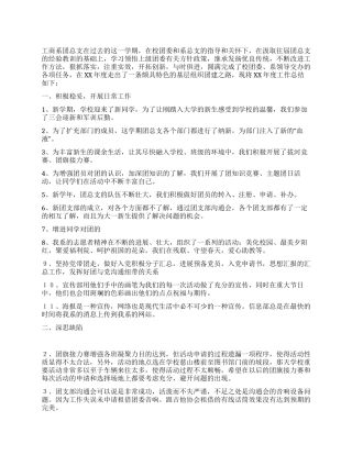 大学团总支工作总结