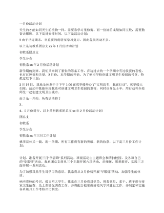 大学团总支年度计划与总结