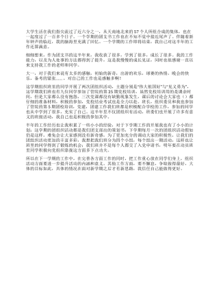 大学团支部书记工作总结
