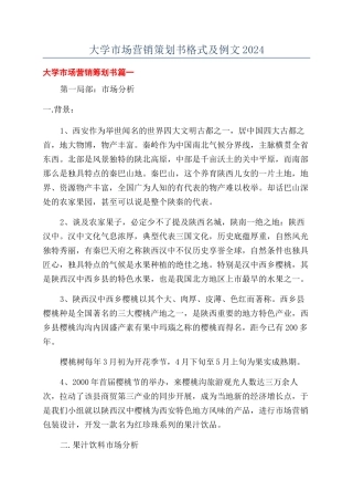 大学市场营销策划书格式及例文2024