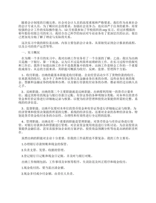大学毕业生会计出纳核算后实习报告