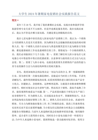 大学生2024年暑期家电促销社会实践报告范文