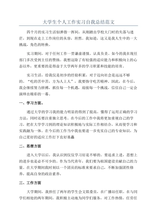 大学生个人工作实习自我总结范文