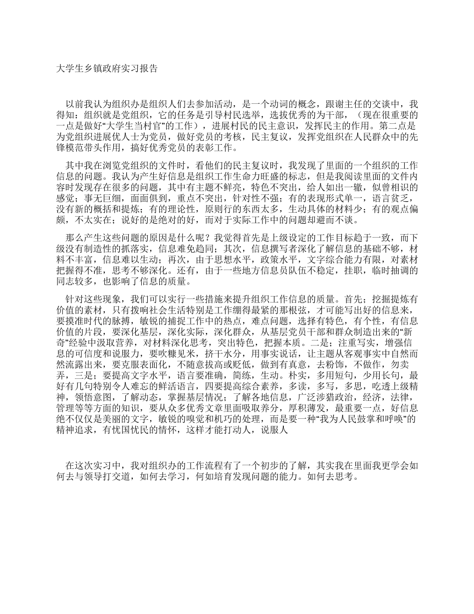 大学生乡镇政府实习报告_第1页