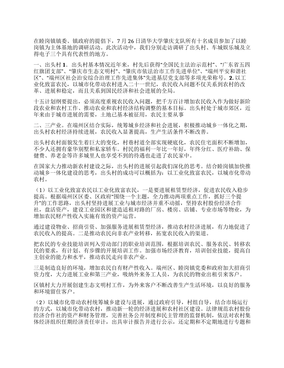 大学生乡镇调研报告_第1页