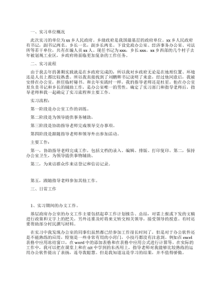 大学生乡政府实习报告