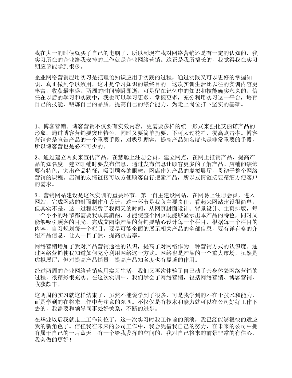 大学生企业网络营销应用实习报告范文_第1页