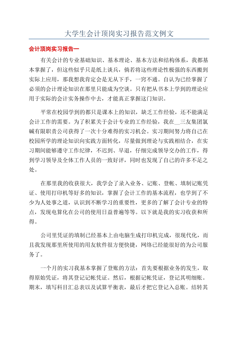 大学生会计顶岗实习报告范文例文_第1页