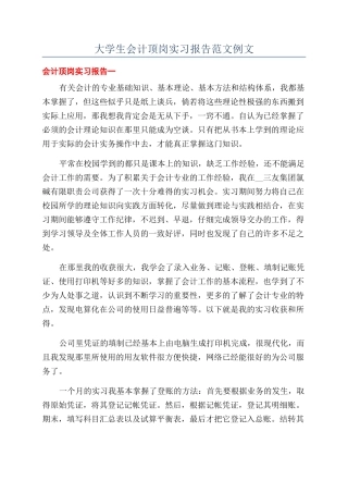 大学生会计顶岗实习报告范文例文