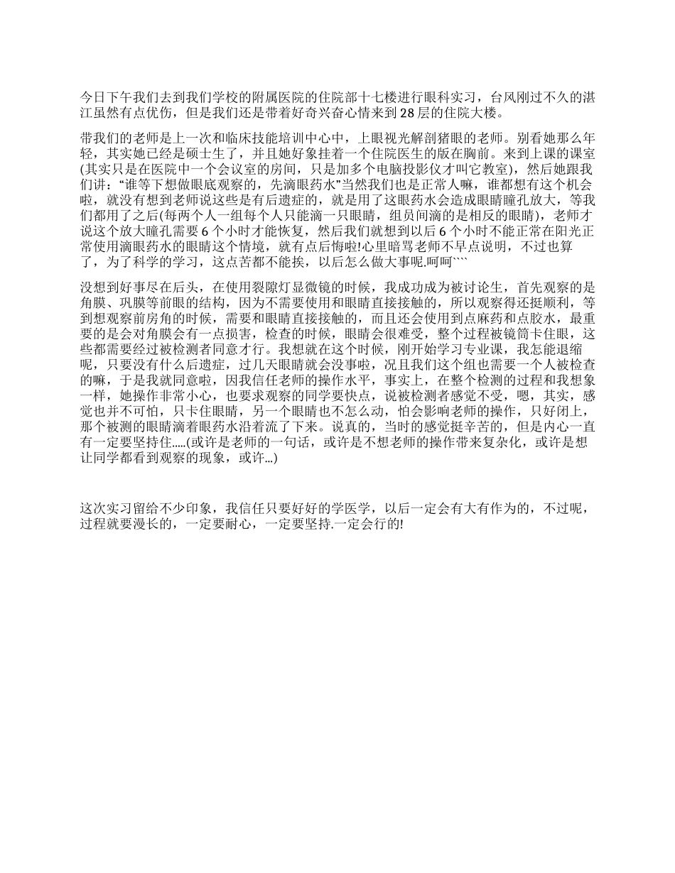 大学生医院眼科实习总结_第1页