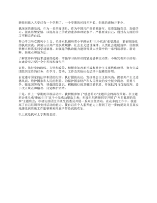 大学生团员个人年终总结