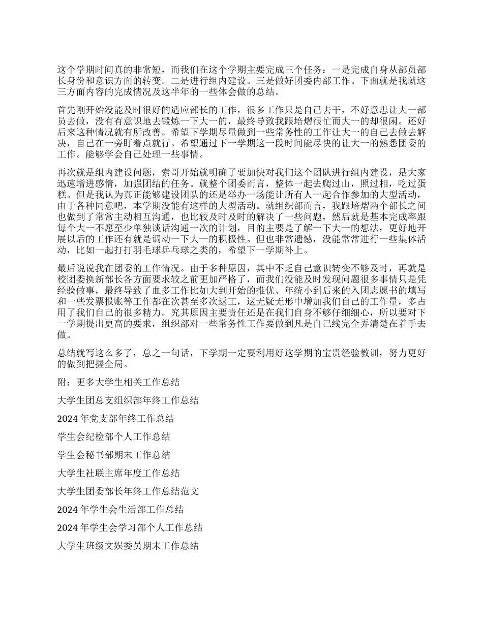 大学生团委部长年终工作总结范文_第1页