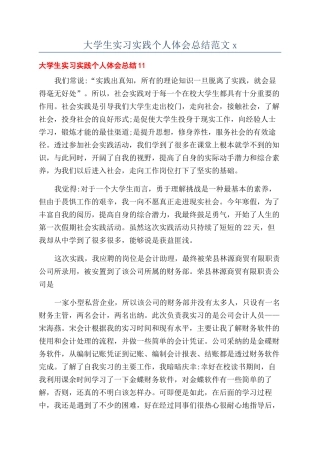 大学生实习实践个人体会总结范文x