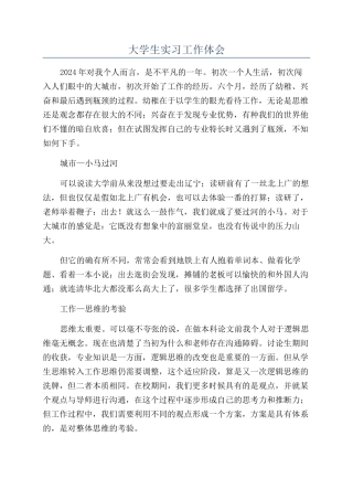 大学生实习工作体会