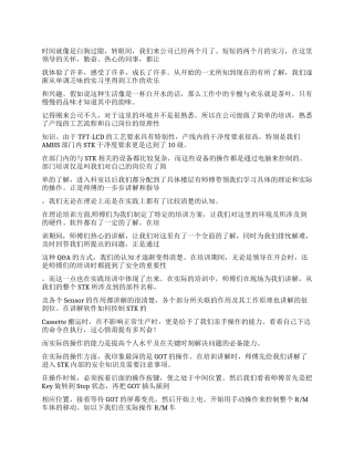 大学生实习报告放飞梦想追逐成功