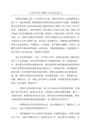 大学生实习期工作总结范文
