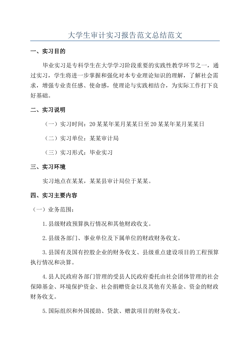 大学生审计实习报告范文总结范文_第1页